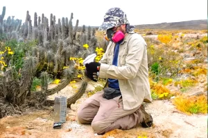 blog-desert.jpg